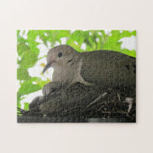 Puzzle - Les colombes dans le nid (Horizontal)