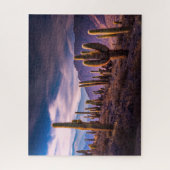 Puzzle Les déserts | Cactus Paysage Argentine (Vertical)