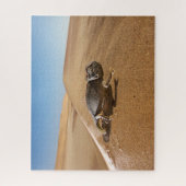 Puzzle Les déserts | Namaqua Chameleon dans le désert (Vertical)