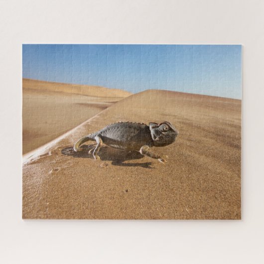 Puzzle Les déserts | Namaqua Chameleon dans le désert (Horizontal)