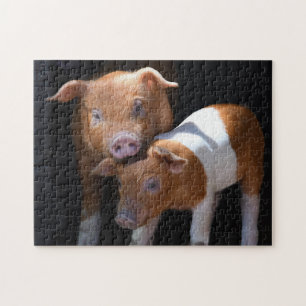 Puzzle Les deux porcs de bébé