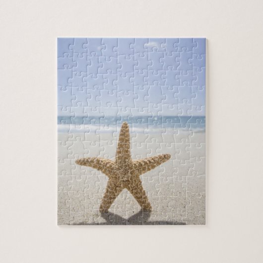 Puzzle Les Etats-Unis, le Massachusetts, Cape Cod, (Vertical)