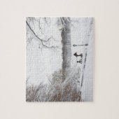 Puzzle Les Etats-Unis, New York City, Central Park en (Vertical)