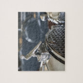 Puzzle Les Etats-Unis, Ohio, Dayton : Musée de Packard de (Vertical)