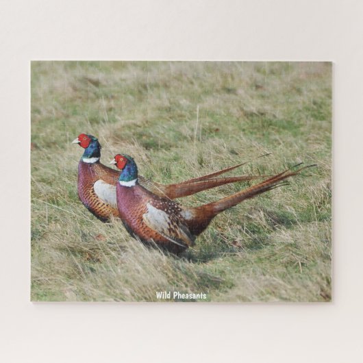 Puzzle Les faisans sauvages (Horizontal)