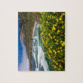 Puzzle Les Fleurs Au-Dessus De La Plage De Sable Dollar (Vertical)