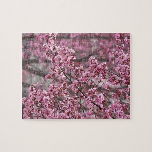 Puzzle Les fleurs de cerisiers Sakura sont roses (Horizontal)