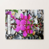Puzzle Les Fleurs sauvages d'algues roses fleurissent au  (Horizontal)
