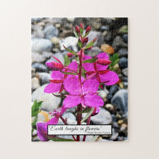 Puzzle Les Fleurs sauvages d'algues roses fleurissent au  (Vertical)