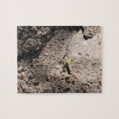 Puzzle Les fourmis vont marcher (Horizontal)