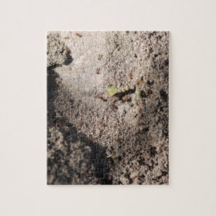 Puzzle Les fourmis vont marcher