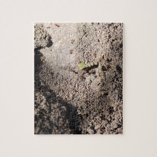 Puzzle Les fourmis vont marcher (Vertical)