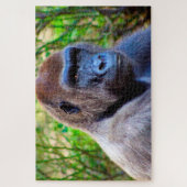 Puzzle Les gorilles. (Vertical)