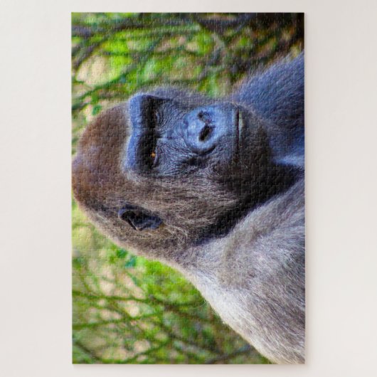 Puzzle Les gorilles. (Vertical)