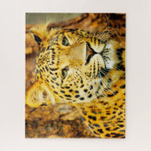 Puzzle Les Grands Chats Léopards. (Vertical)