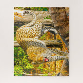 Puzzle Les Grands Chats Léopards. (Vertical)