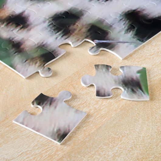 Puzzle Les Grands Chats Léopards. (Côté)