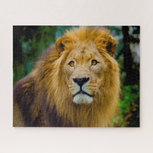 Puzzle Les Grands Félins Lions.