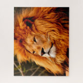 Puzzle Les lions des grands chats (Vertical)