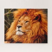 Puzzle Les lions des grands chats (Horizontal)