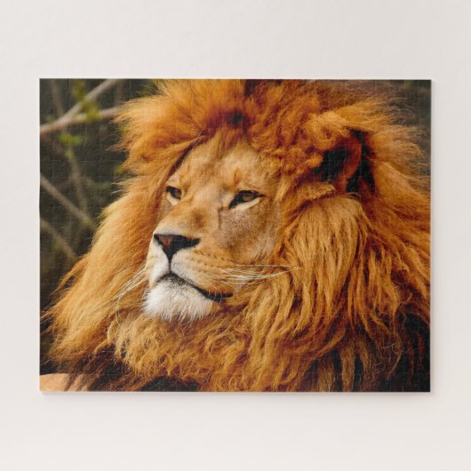 Puzzle Les lions des grands chats (Horizontal)