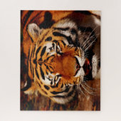 Puzzle Les Lions Gros Chats. (Vertical)