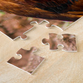 Puzzle Les meilleures photos d'oiseaux (Côté)