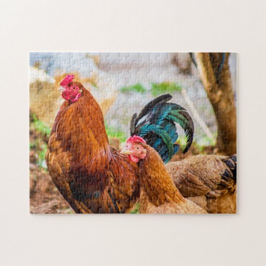 Puzzle Les meilleures photos d'oiseaux (Horizontal)