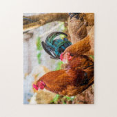 Puzzle Les meilleures photos d'oiseaux (Vertical)