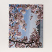 Puzzle Les monuments | Jefferson Memorial Cherry Blossoms (Vertical)