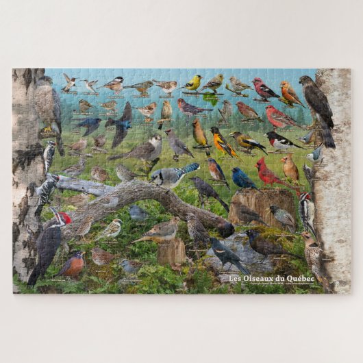 Puzzle Les Oiseaux du Québec (Horizontal)