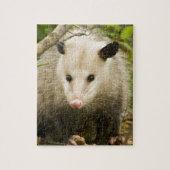 Puzzle Les opossums sont jolis - opossum Didelphimorphia (Vertical)