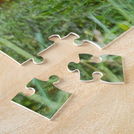 Puzzle Les Orangs-outans. (Côté)