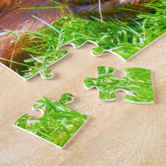 Puzzle Les Orangs-outans. (Côté)