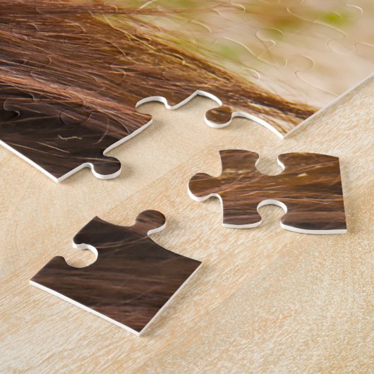 Puzzle Les Orangs-outans. (Côté)