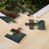 Puzzle Les Ours De Koala S'Endorment Dans Les Arbres, (Côté)