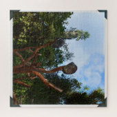 Puzzle Les Ours De Koala S'Endorment Dans Les Arbres, (Horizontal)