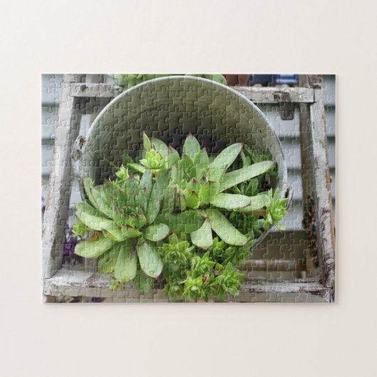 Puzzle Les Poules Et Les Poulets Succulent Dans Une Natur (Horizontal)