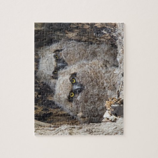 Puzzle Les richesses (Vertical)