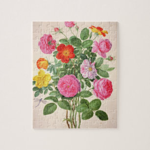 Puzzle Les roses, plaquent 4 du Florilegium de Nassau (la