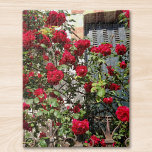 Puzzle Les Roses rouges de Travel France<br><div class="desc">J'ai pris cette photo un jour en marchant dans une rue en France.
Escalade roses rouges à la lumière du soleil obscurcissant presque une fenêtre à volets et tenue par une vieille clôture en fer.
Si romantique et nostalgique. J'espère que vous aimez faire ce puzzle!</div>