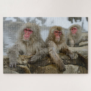 Puzzle Les singes des neiges dans les poules thermales du