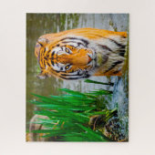 Puzzle Les Tigres Gros Chats. (Vertical)