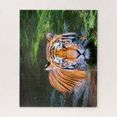 Puzzle Les Tigres Gros Chats. (Vertical)