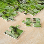 Puzzle Les tortues de l'eau (Côté)