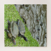 Puzzle Les tortues de l'eau (Horizontal)