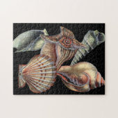 Puzzle Les trésors de la mer (Horizontal)