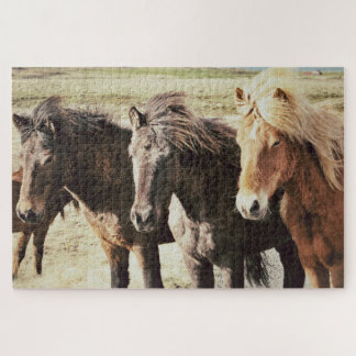 Puzzle Les Trois Amigos Les Amis Islandais Du Cheval