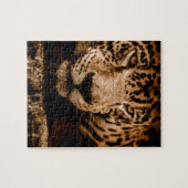 Puzzle les yeux du jaguar (Horizontal)