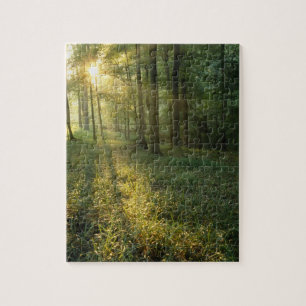Puzzle Lever de soleil à travers la forêt de chêne et de